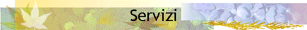 Servizi